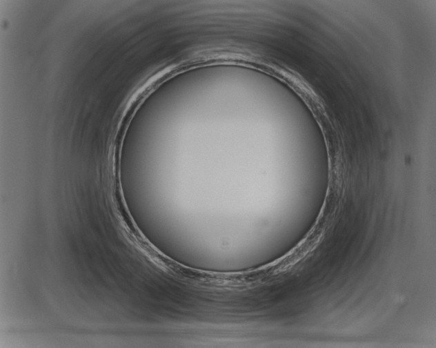 X0000087630790200705030726