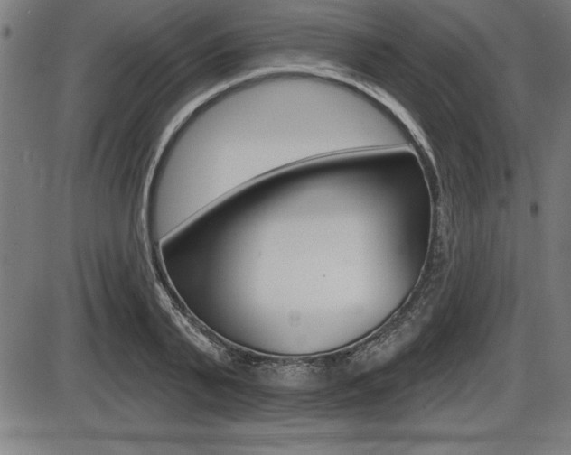 X0000087630791200705030726