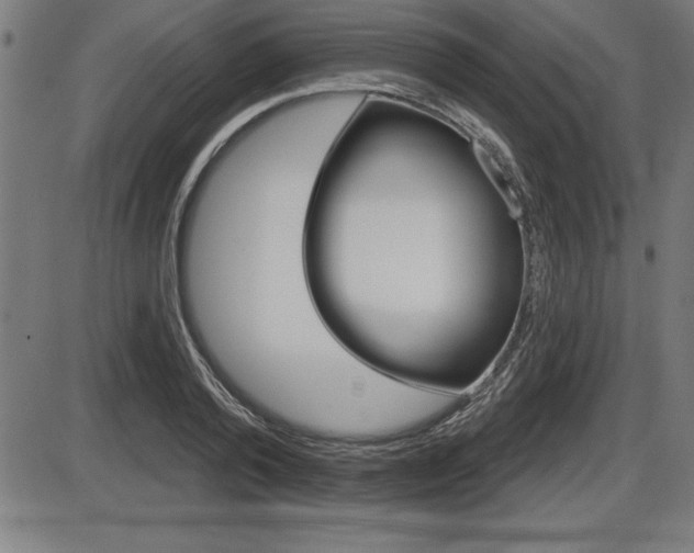 X0000087630792200705030726