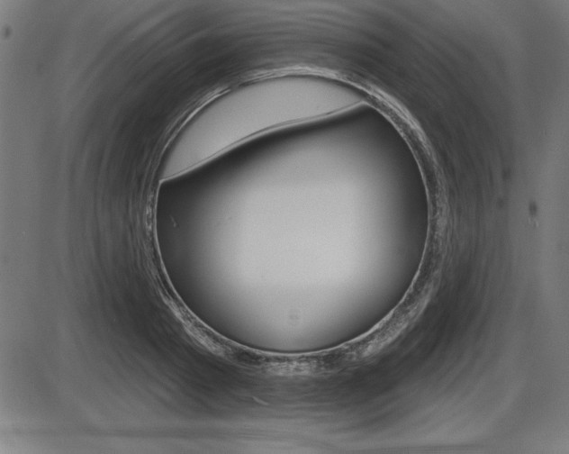X0000087630793200705030726