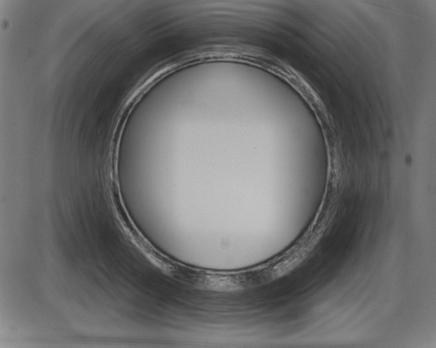 X0000087630794200705030726