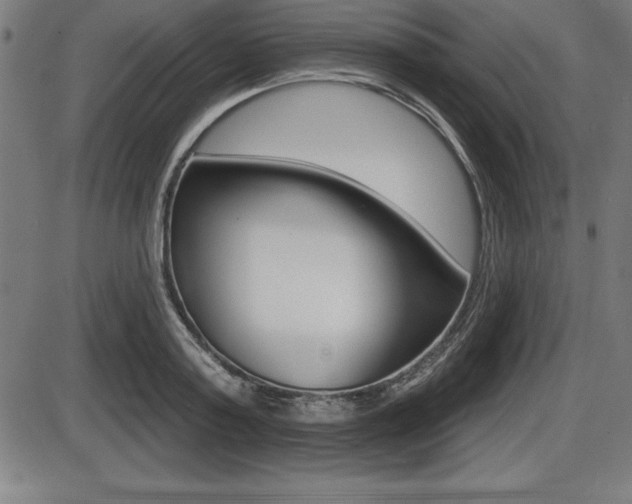 X0000087630795200705030726