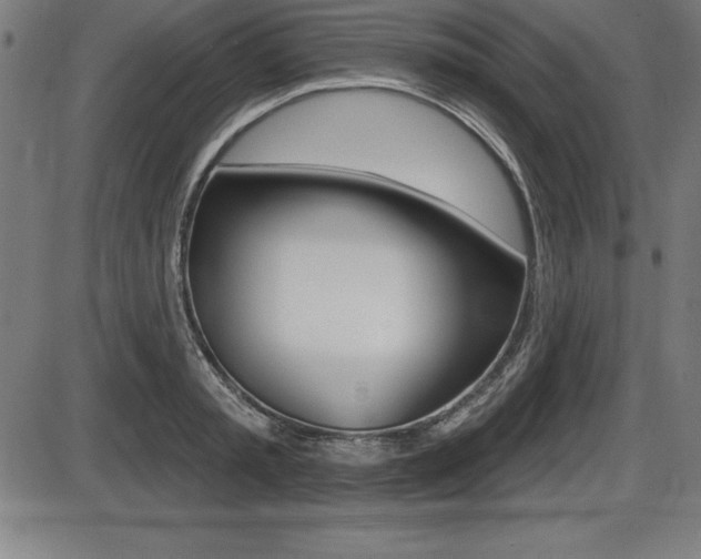 X0000087630797200705030726