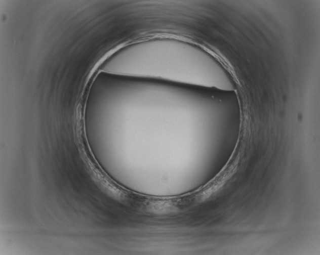 X0000087630798200705030726