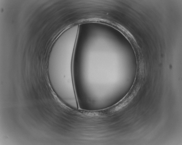 X0000087630801200705030726