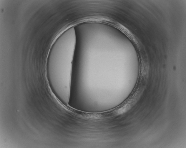 X0000087630802200705030726