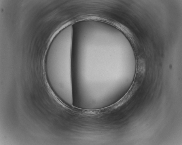 X0000087630806200705030726