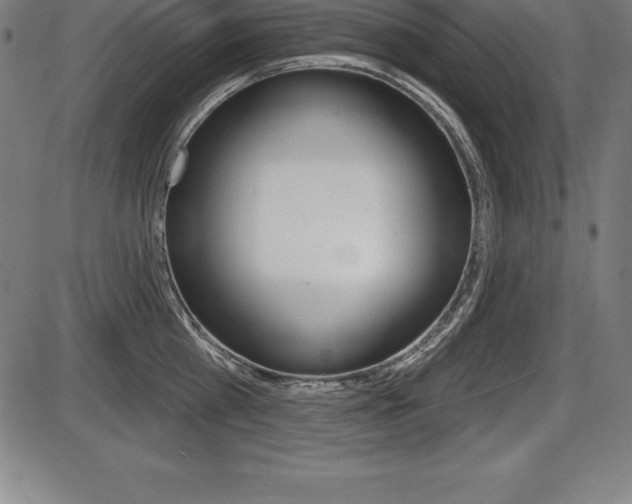 X0000087630809200705030726