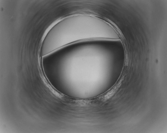 X0000087630812200705030726