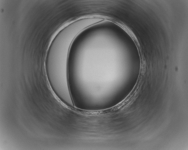 X0000087630813200705030726