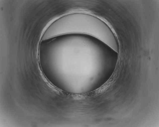 X0000087630815200705030726