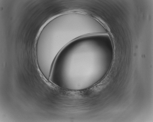 X0000087630816200705030725