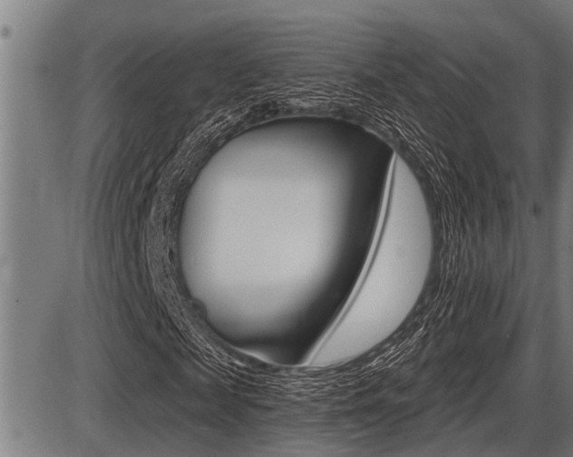 X0000087630817200705030725