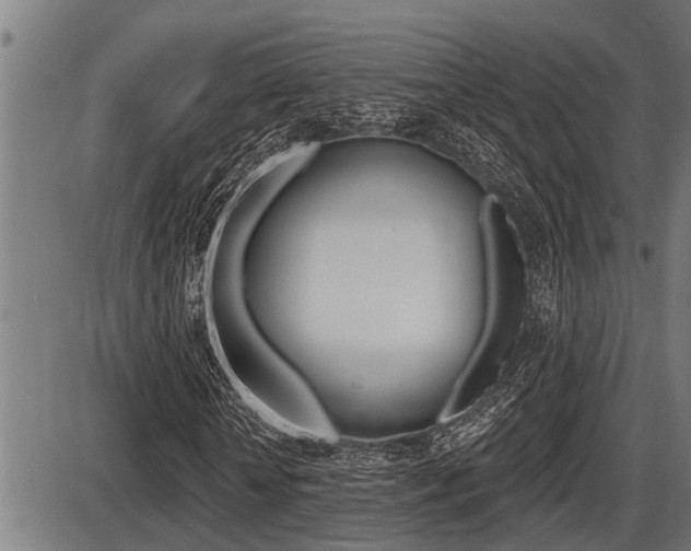X0000087630818200705030725