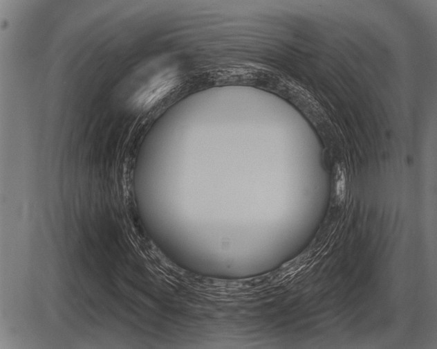 X0000087630819200705030725