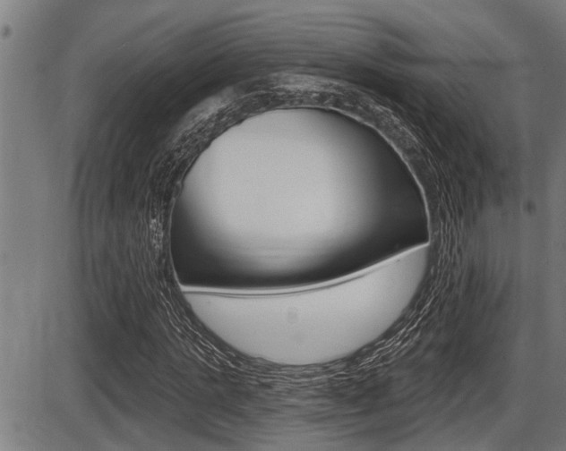 X0000087630821200705030725