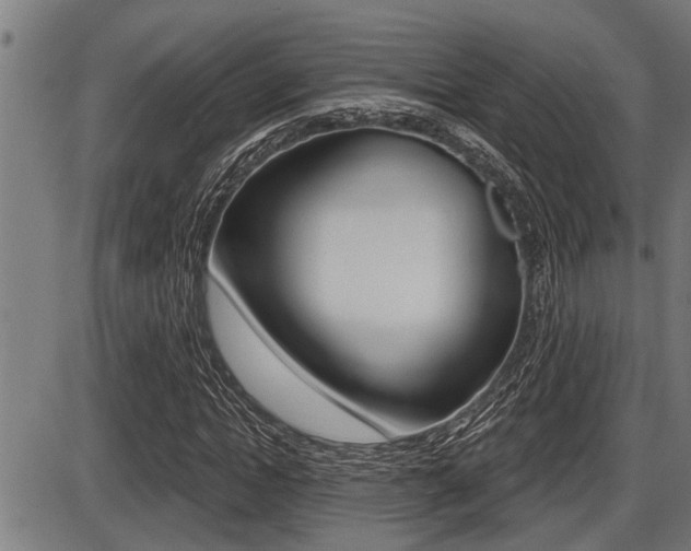 X0000087630822200705030725