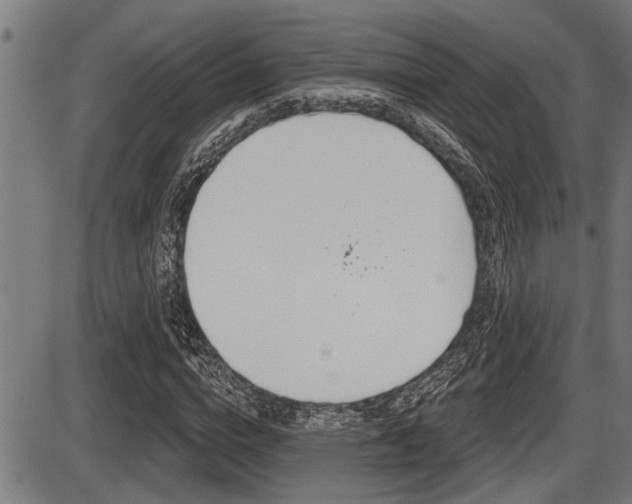 X0000087630824200705030725
