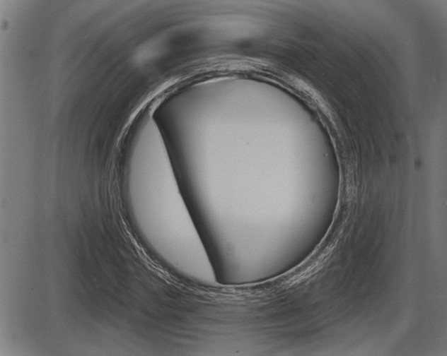 X0000087630827200705030725