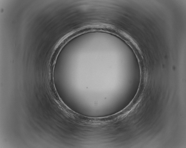 X0000087630829200705030725
