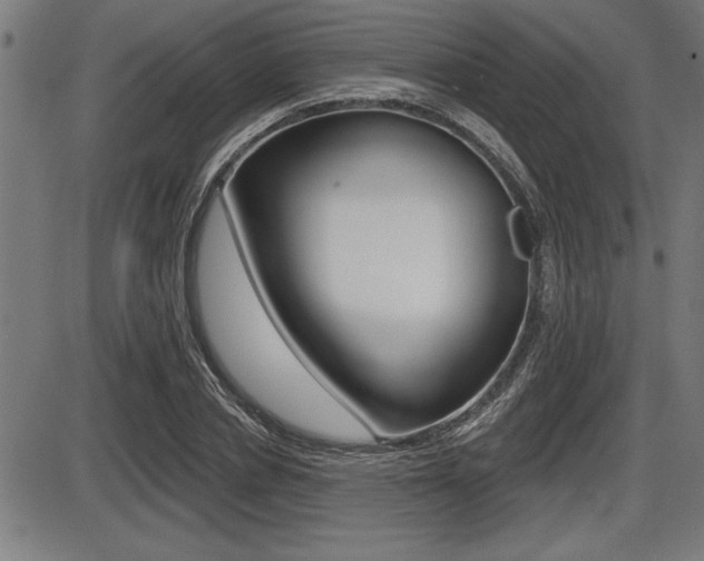 X0000087630834200705030725