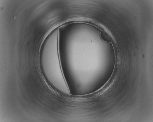 X0000087630837200705030725