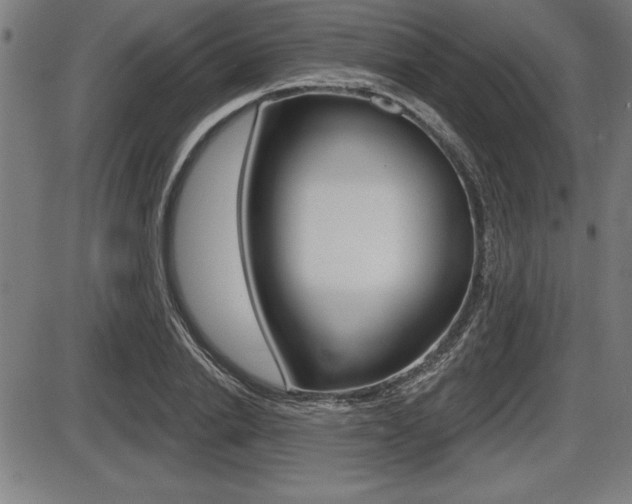 X0000087630838200705030725