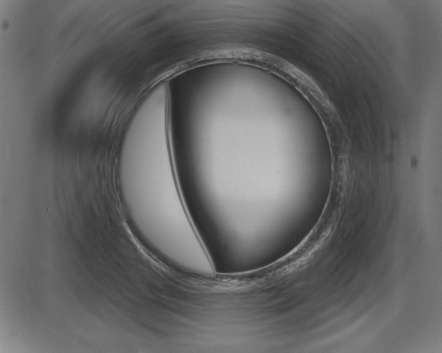 X0000087630841200705030725