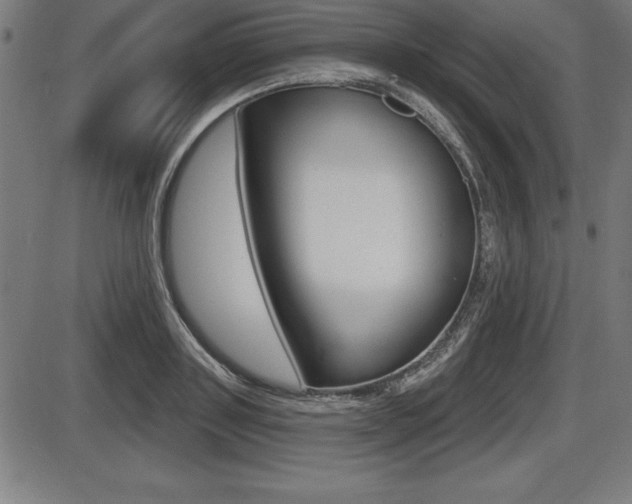 X0000087630843200705030725