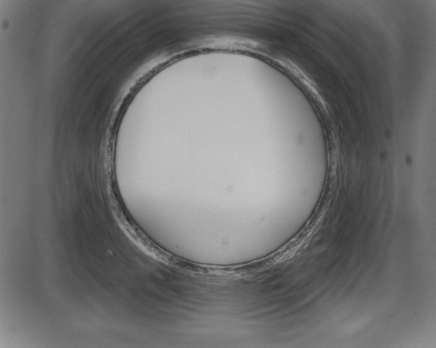 X0000087630848200705030725