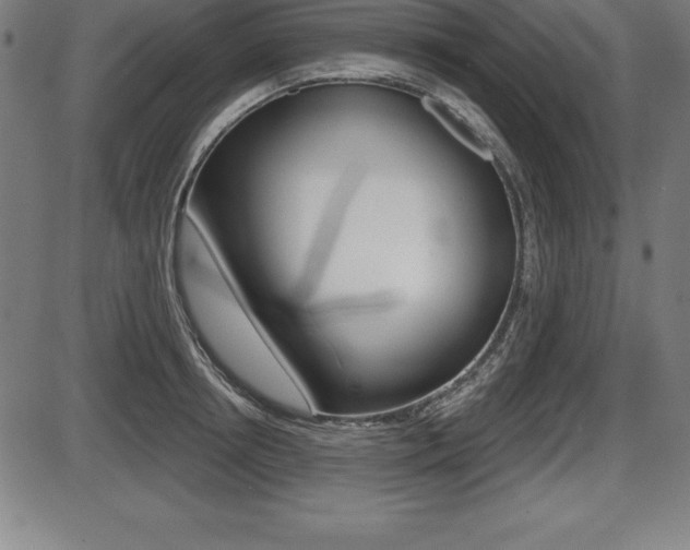 X0000087630850200705030725