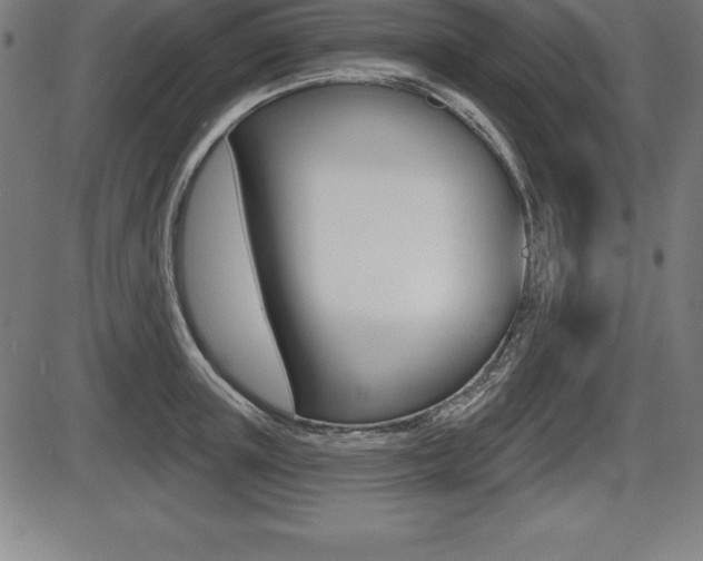 X0000087630851200705030725