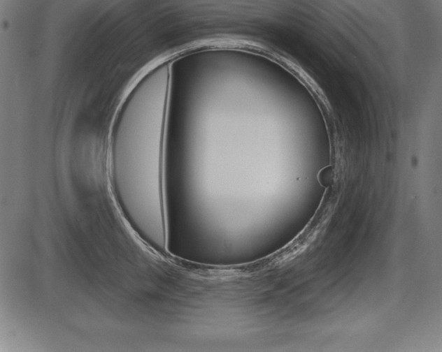 X0000087630853200705030725