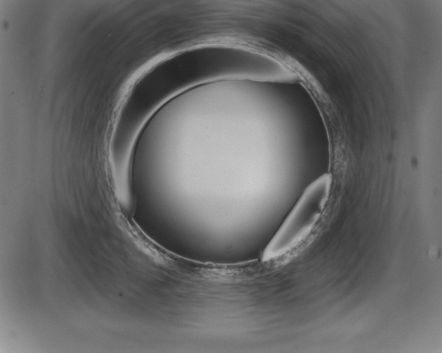 X0000087630854200705030725