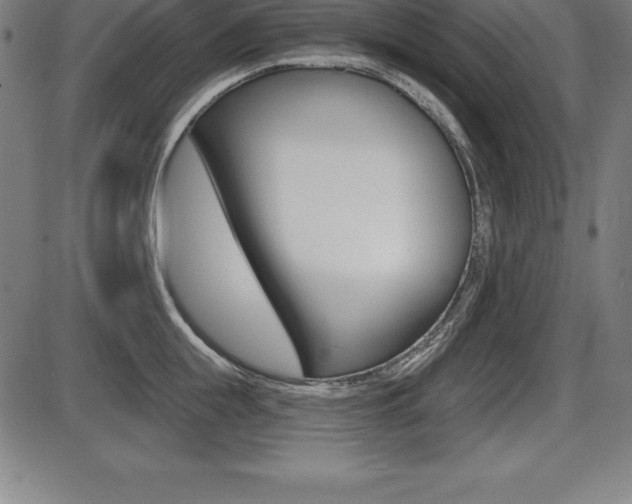 X0000087630855200705030725