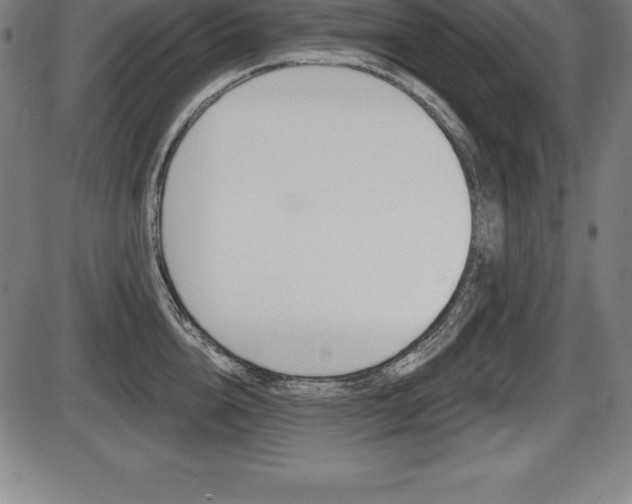 X0000087630856200705030725