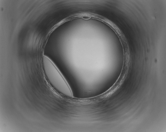 X0000087630857200705030725
