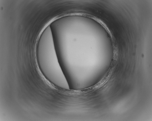 X0000087630859200705030725