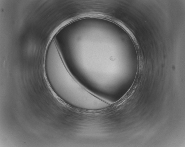 X0000087630861200705030725