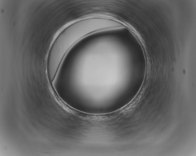 X0000087630862200705030725