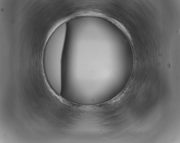 X0000087630863200705030725