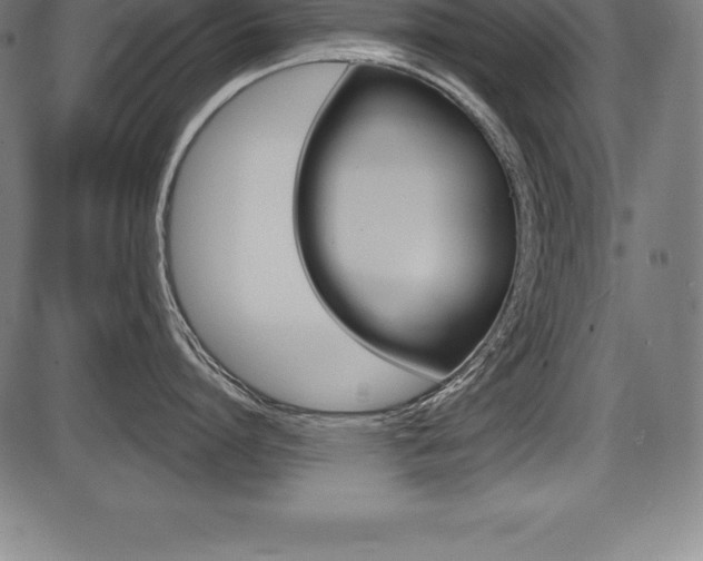 X0000087630864200705030725