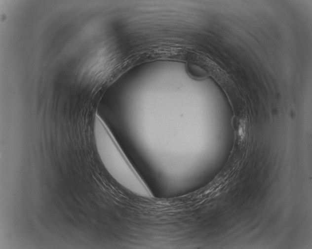 X0000087630867200705030725