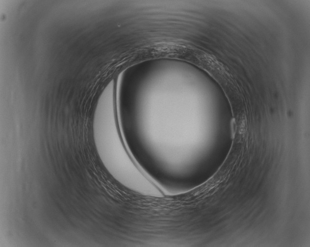 X0000087630868200705030725