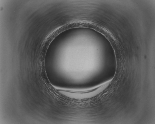 X0000087630872200705030725