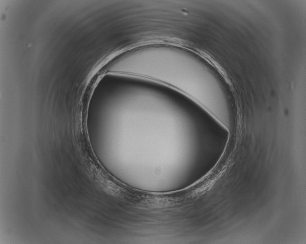 X0000087630877200705030725