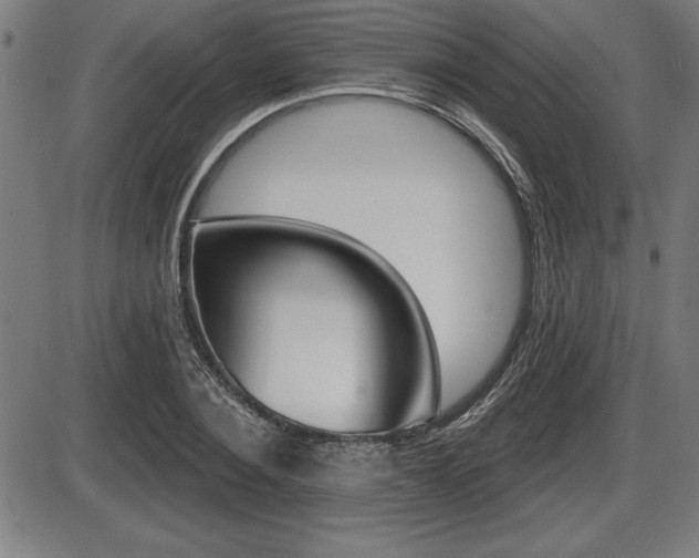 X0000087630884200705030724