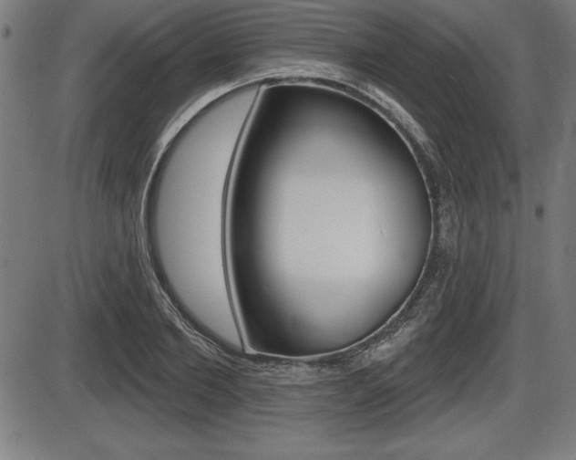 X0000087630885200705030724