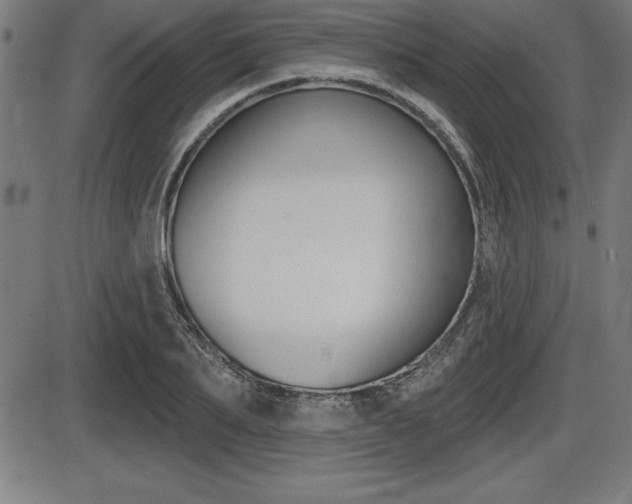 X0000087630887200705030724