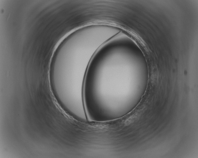 X0000087630888200705030724